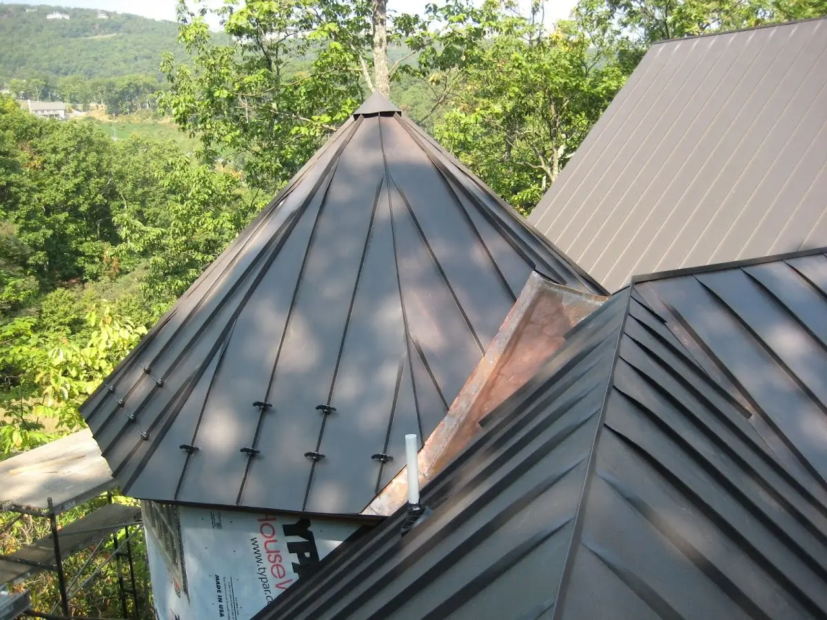 Professional Gutter Cleaning by Craftsman Roofing in Sebastopol